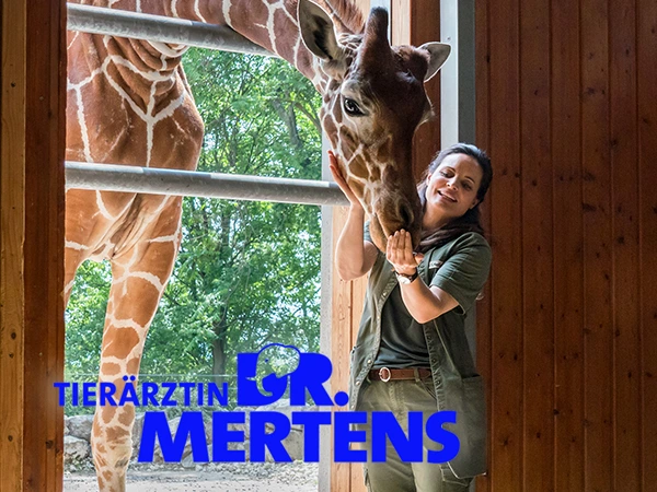  Tierärztin Dr. Mertens 